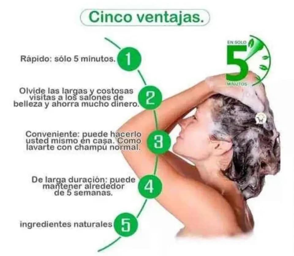 LLEGO EL NUEVO SHAMPO VEGETAL que cubre las canas SIN AMONIACO🤩🤩