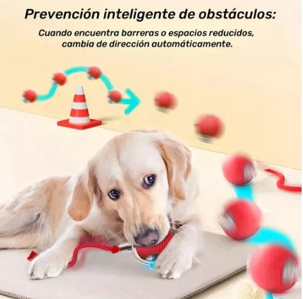 2 x1 Pelota Interactiva con Sensor para Perro y Gato