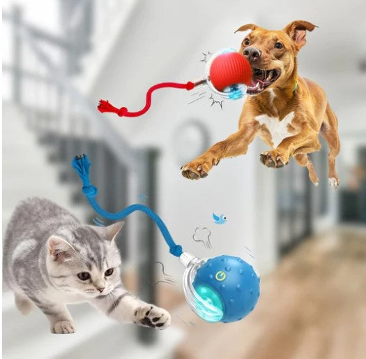 2 x1 Pelota Interactiva con Sensor para Perro y Gato