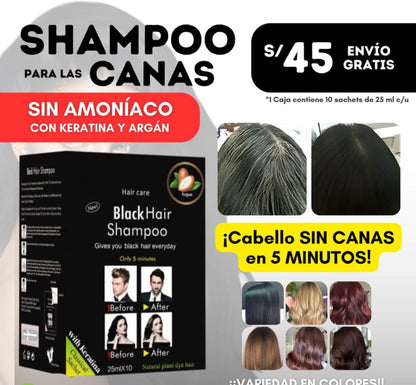 LLEGO EL NUEVO SHAMPO  VEGETAL que cubre las canas SIN AMONIACO🤩🤩