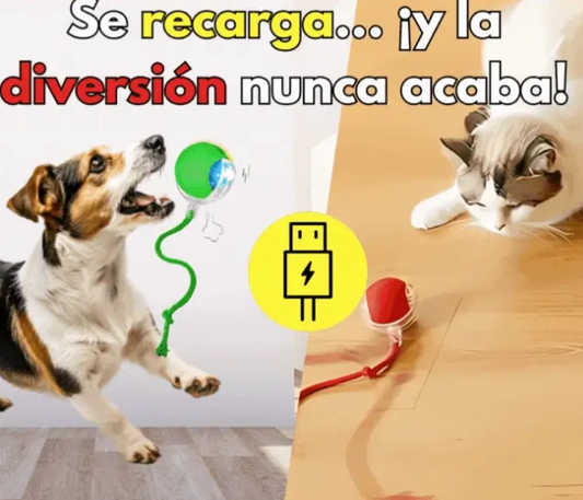 2 x1 Pelota Interactiva con Sensor para Perro y Gato