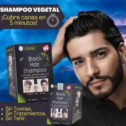LLEGO EL NUEVO SHAMPO  VEGETAL que cubre las canas SIN AMONIACO🤩🤩