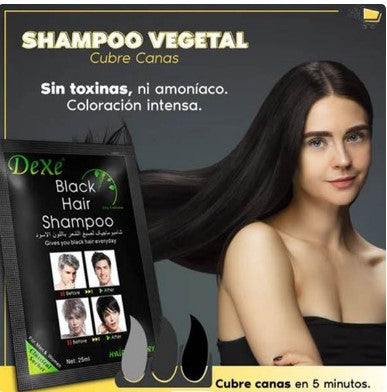 LLEGO EL NUEVO SHAMPO  VEGETAL que cubre las canas SIN AMONIACO🤩🤩